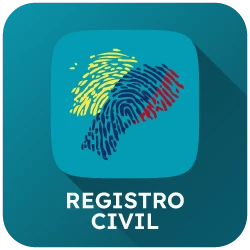 registro